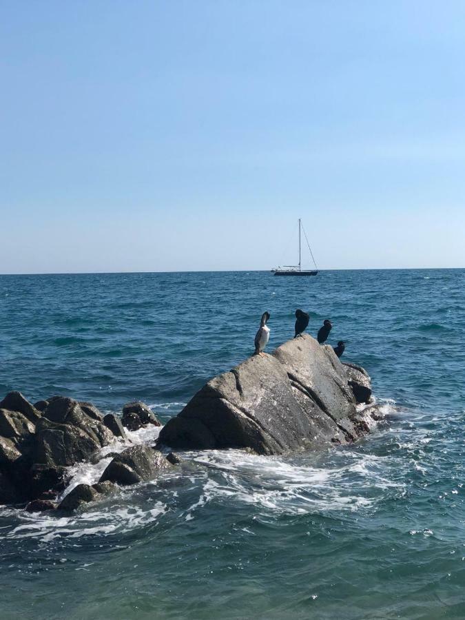 White Stones Beach In サン・ポル・デ・マール エクステリア 写真